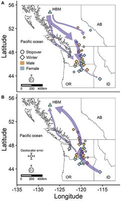 Sex-Specific Spatiotemporal Variation and Carry-Over Effects in a Migratory Alpine Songbird